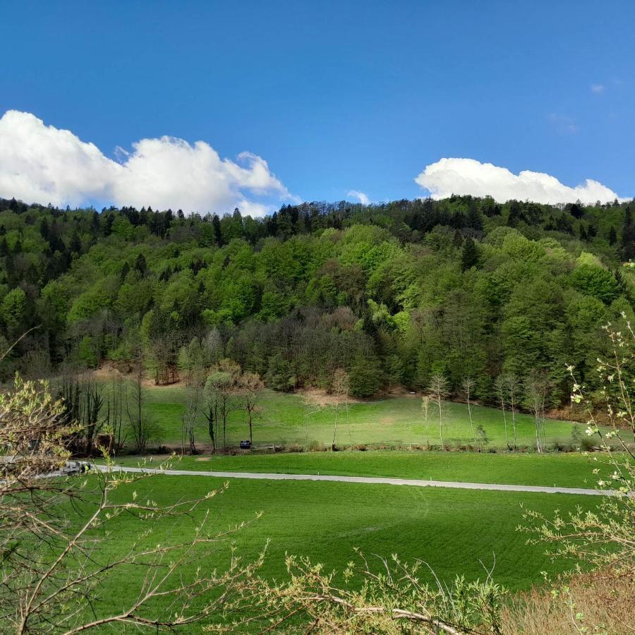 Nice Apartment Near By Capital Of Slovenia Любляна Экстерьер фото