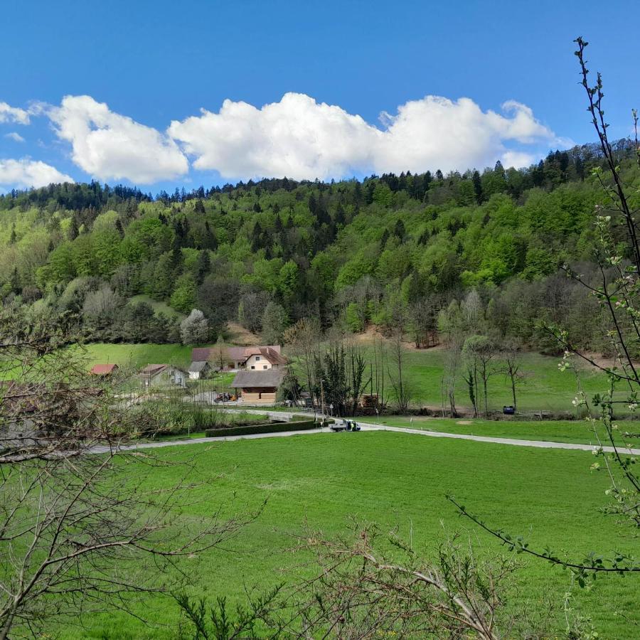 Nice Apartment Near By Capital Of Slovenia Любляна Экстерьер фото
